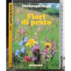 Fiori di prato