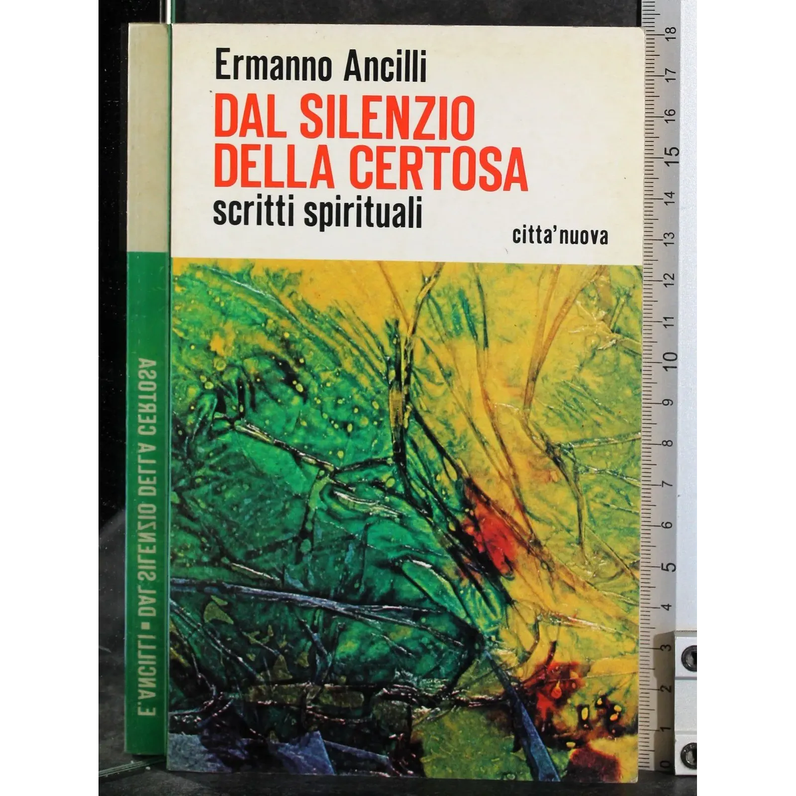 Dal silenzio della Certosa