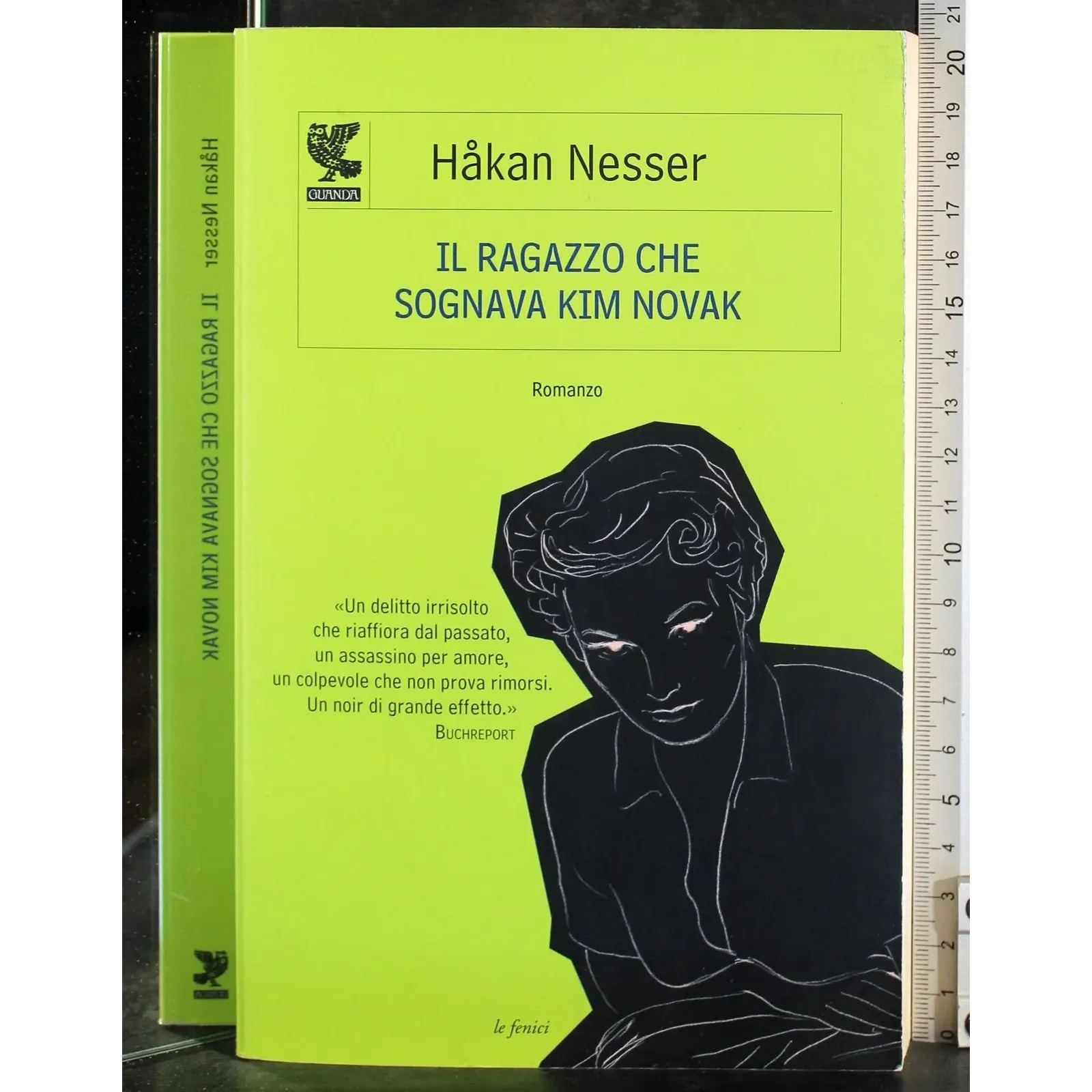 Il ragazzo che sognava Kim Novak