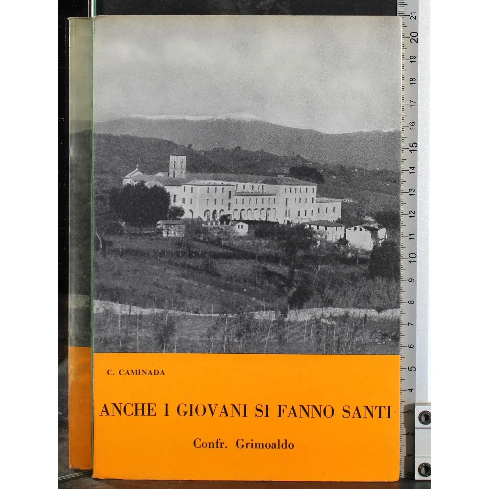 Anche i giovani si fanno santi