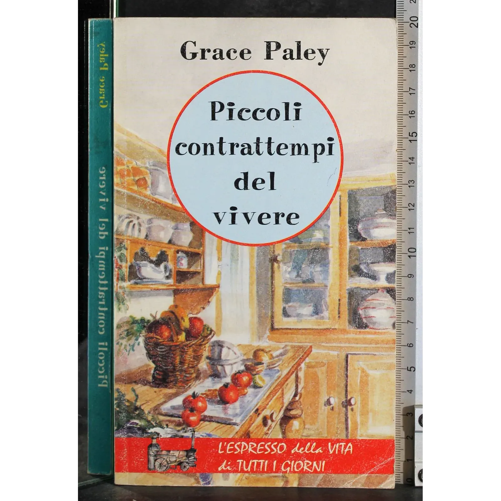 Piccoli contrattempi del vivere