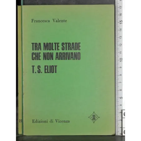 Tra molte strade che non arrivano: T S Elio