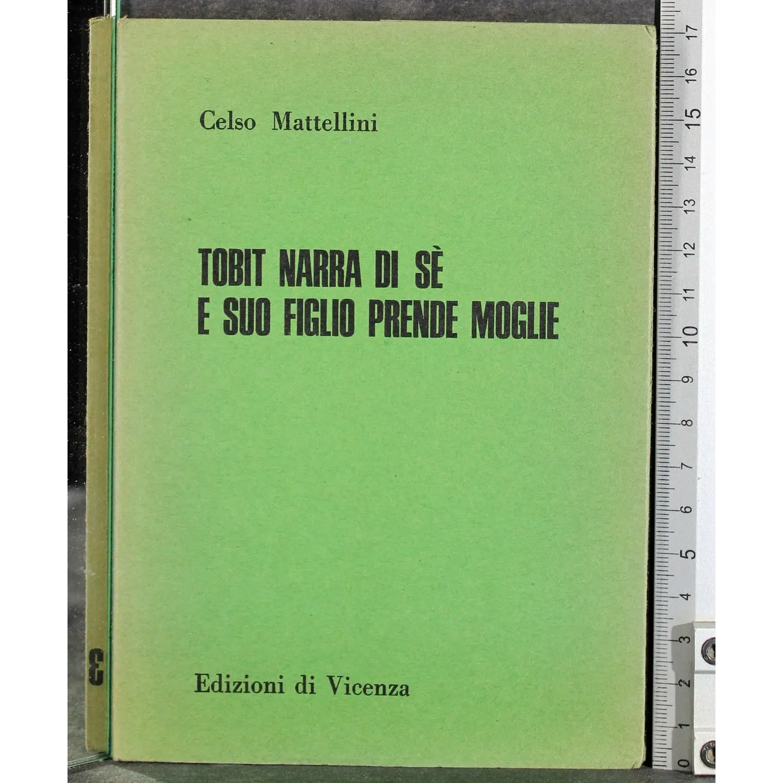 Tobit narra di sé e suo figlio prende moglie