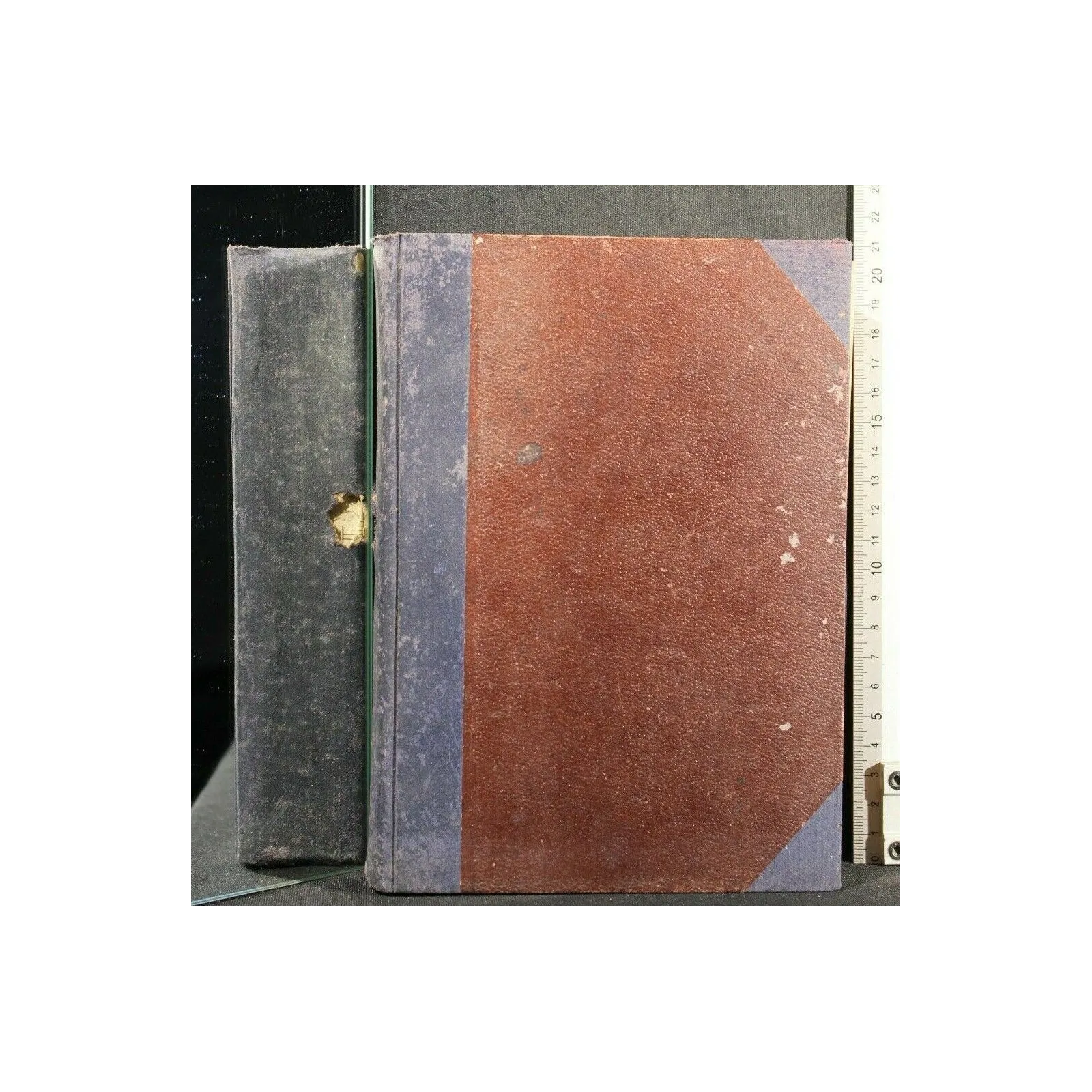 NELLA JUNGLA TRAGICA