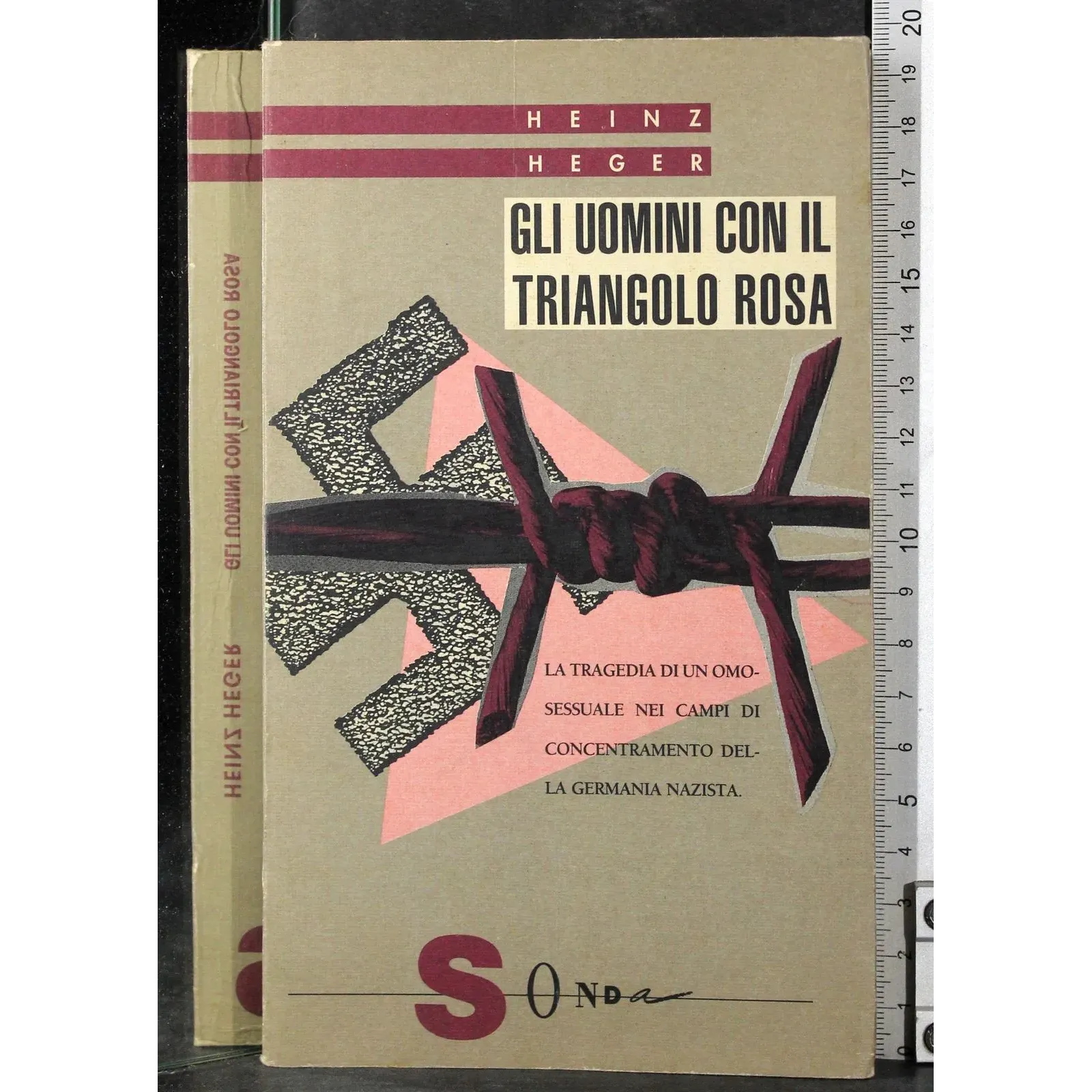 Gli uomini con il triangolo rosa