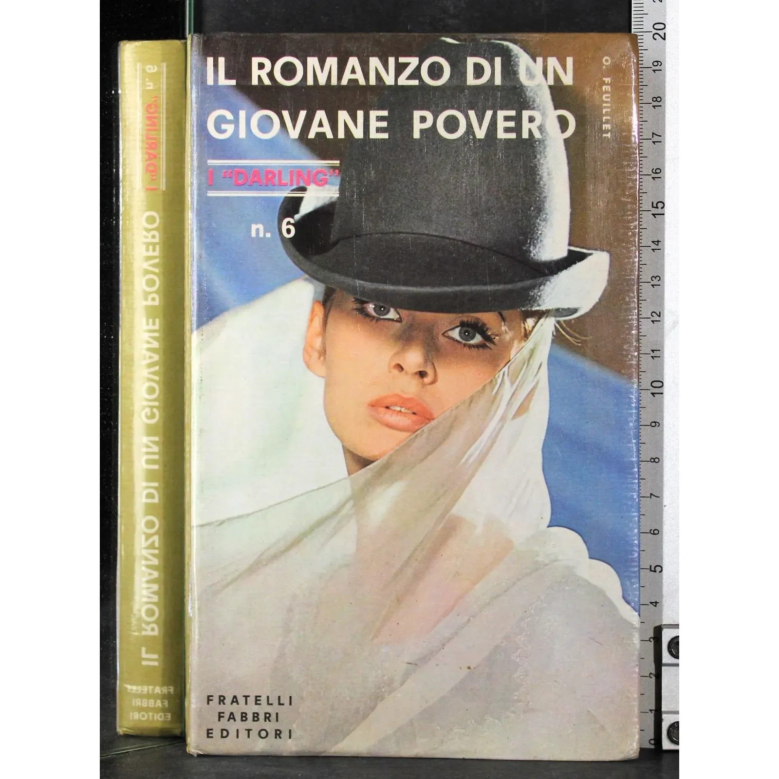 Il romanzo di un giovane povero