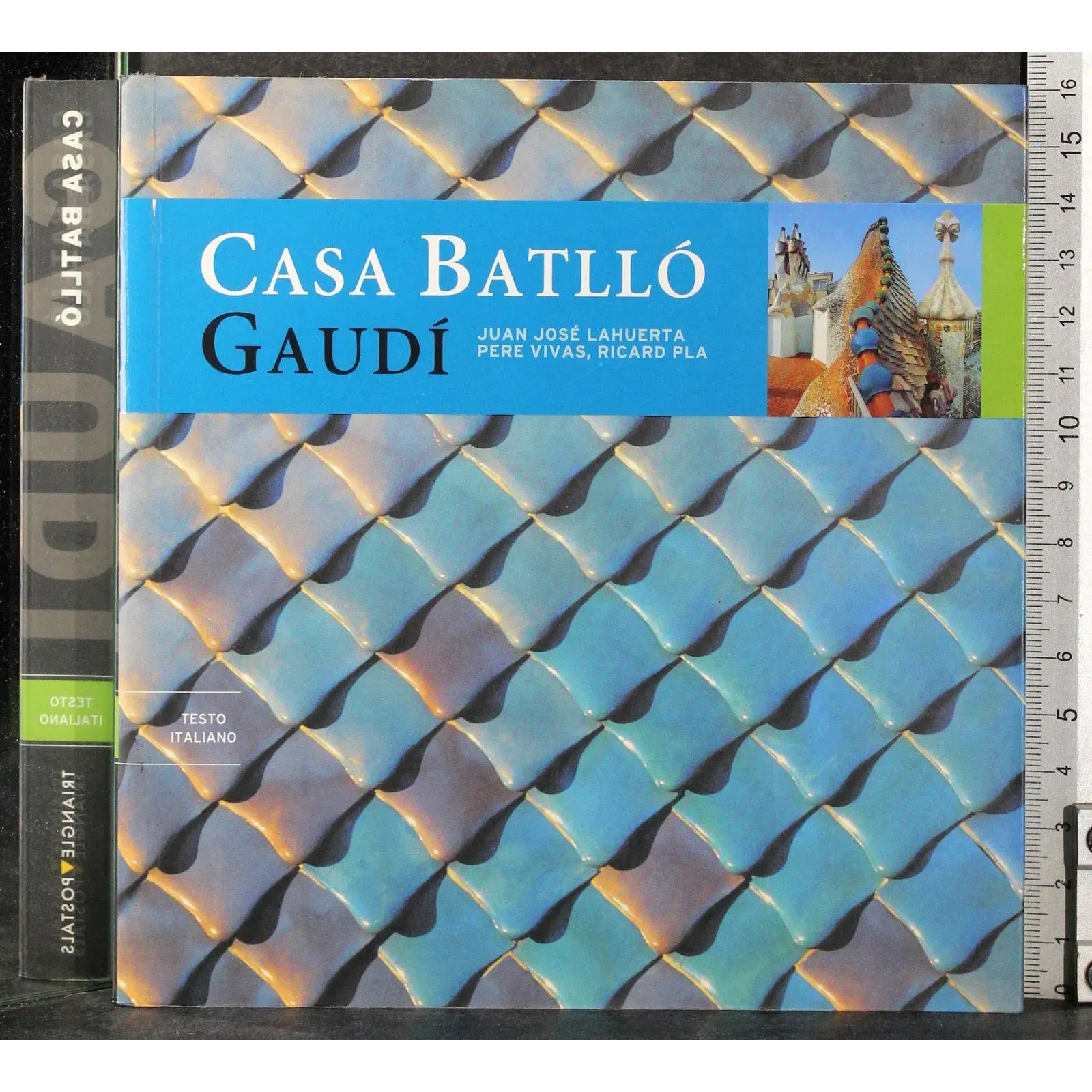 Casa Battlo. Gaudi