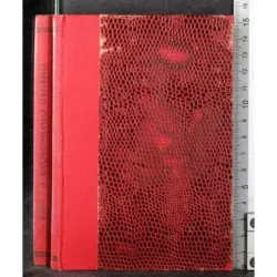 Il Risorgimento italiano (1814-1918)