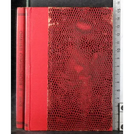 Il Risorgimento italiano (1814-1918)