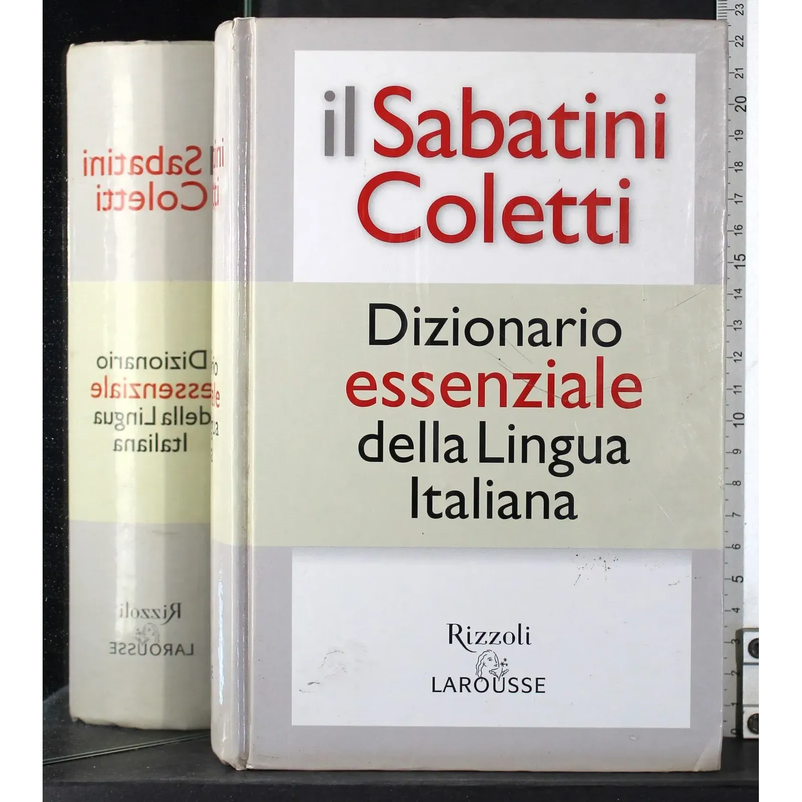 Il Sabatini Coletti. Dizionario della lingua italiana