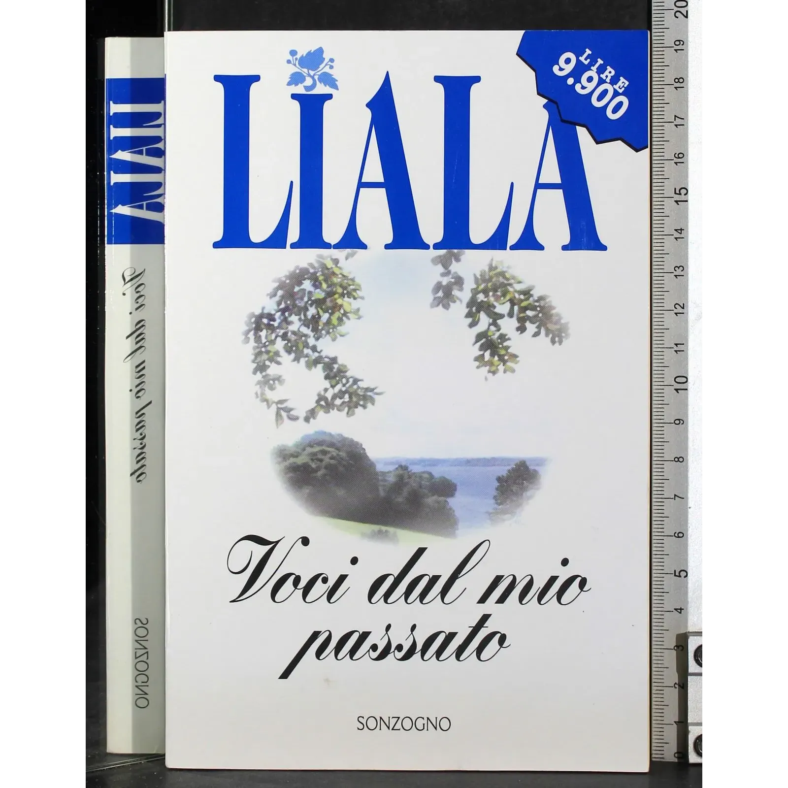 Voci dal mio passato