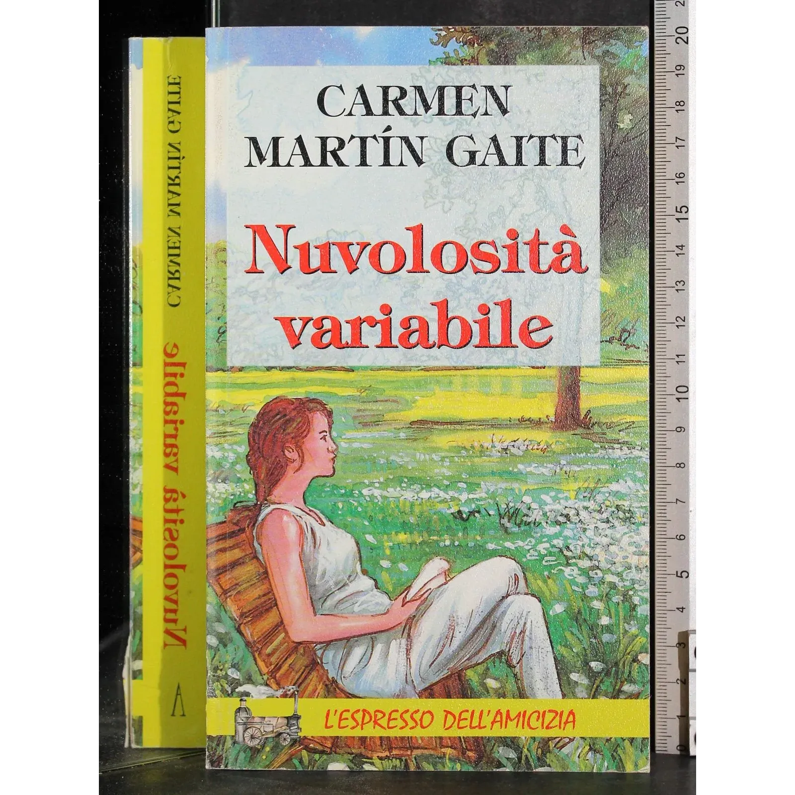 Nuvolosità variabile