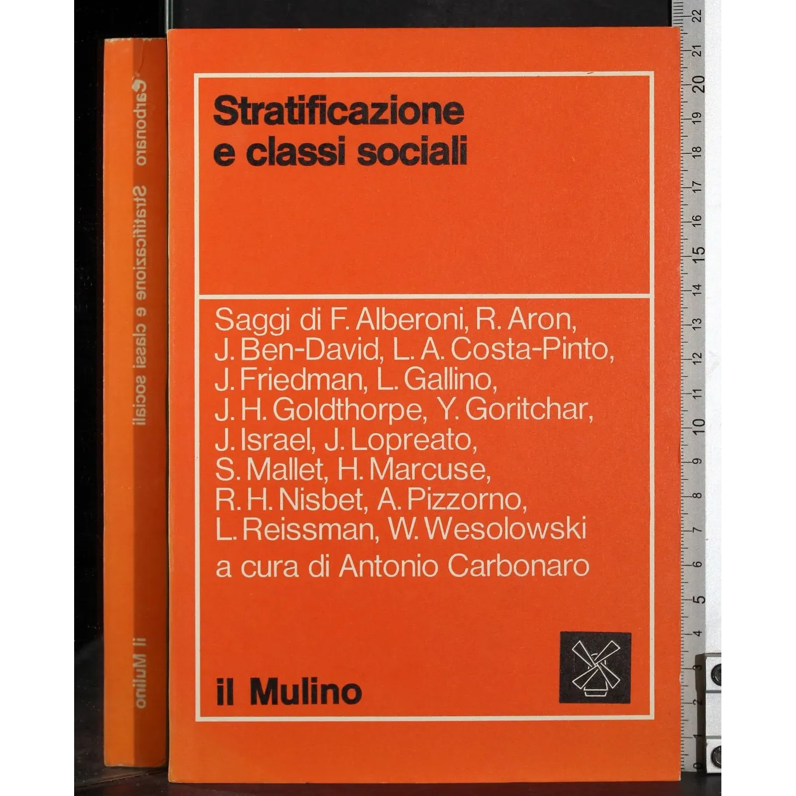Stratificazione e classi sociali