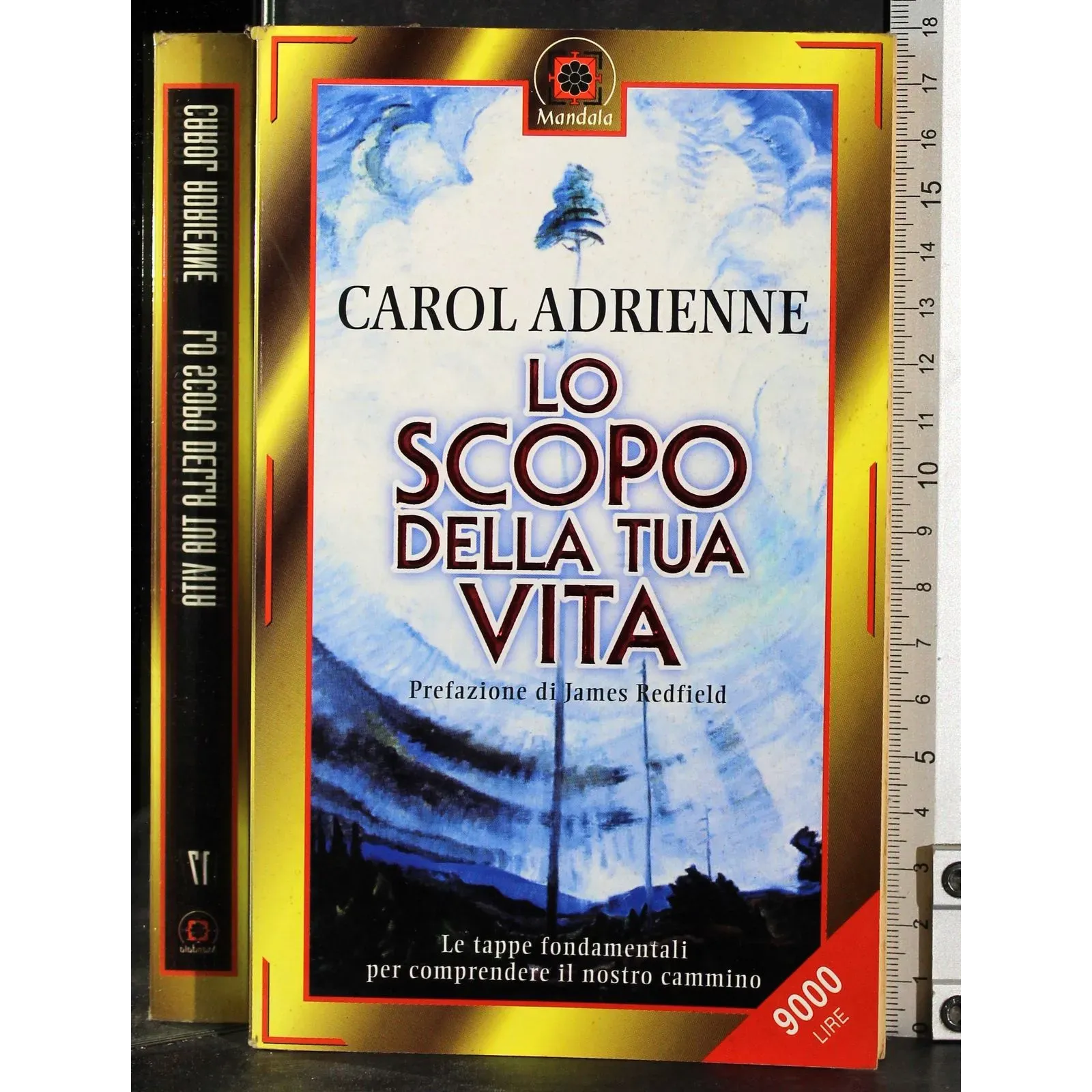 Lo scopo della tua vita