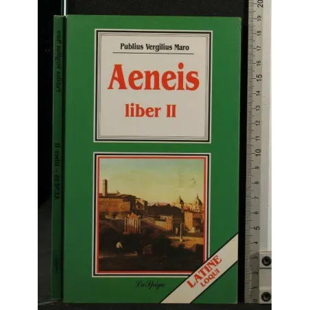 AENEIS LIBER II