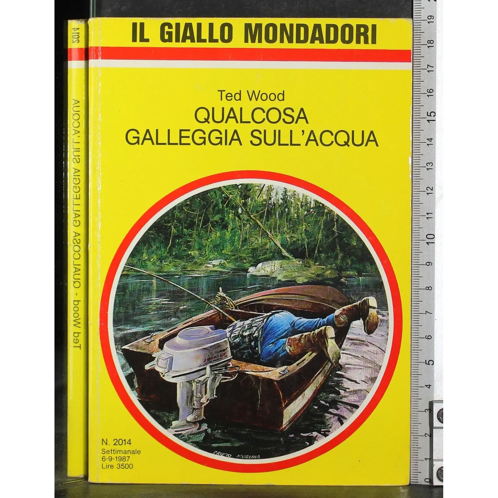 Qualcosa galleggia sull'acqua