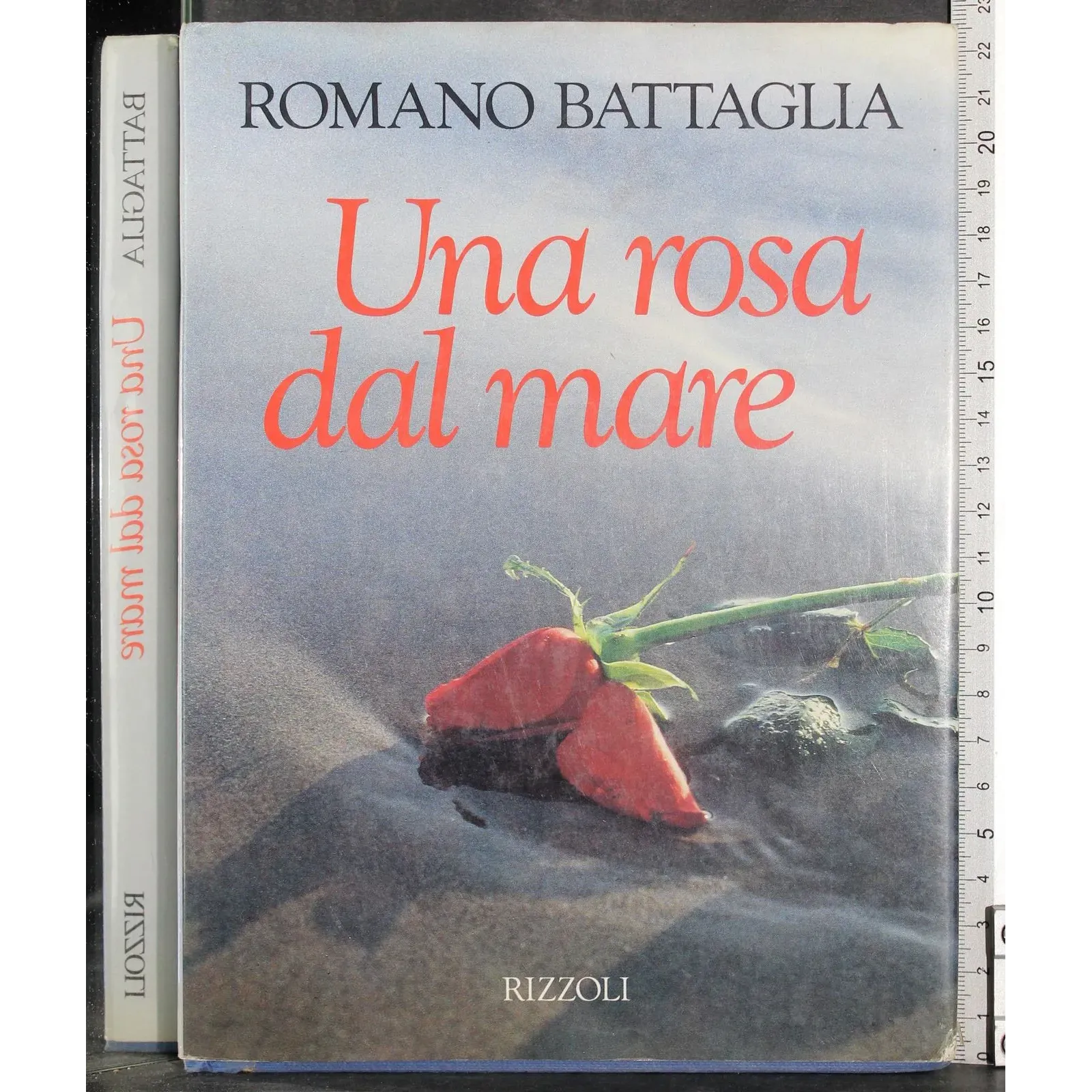 Una rosa dal mare