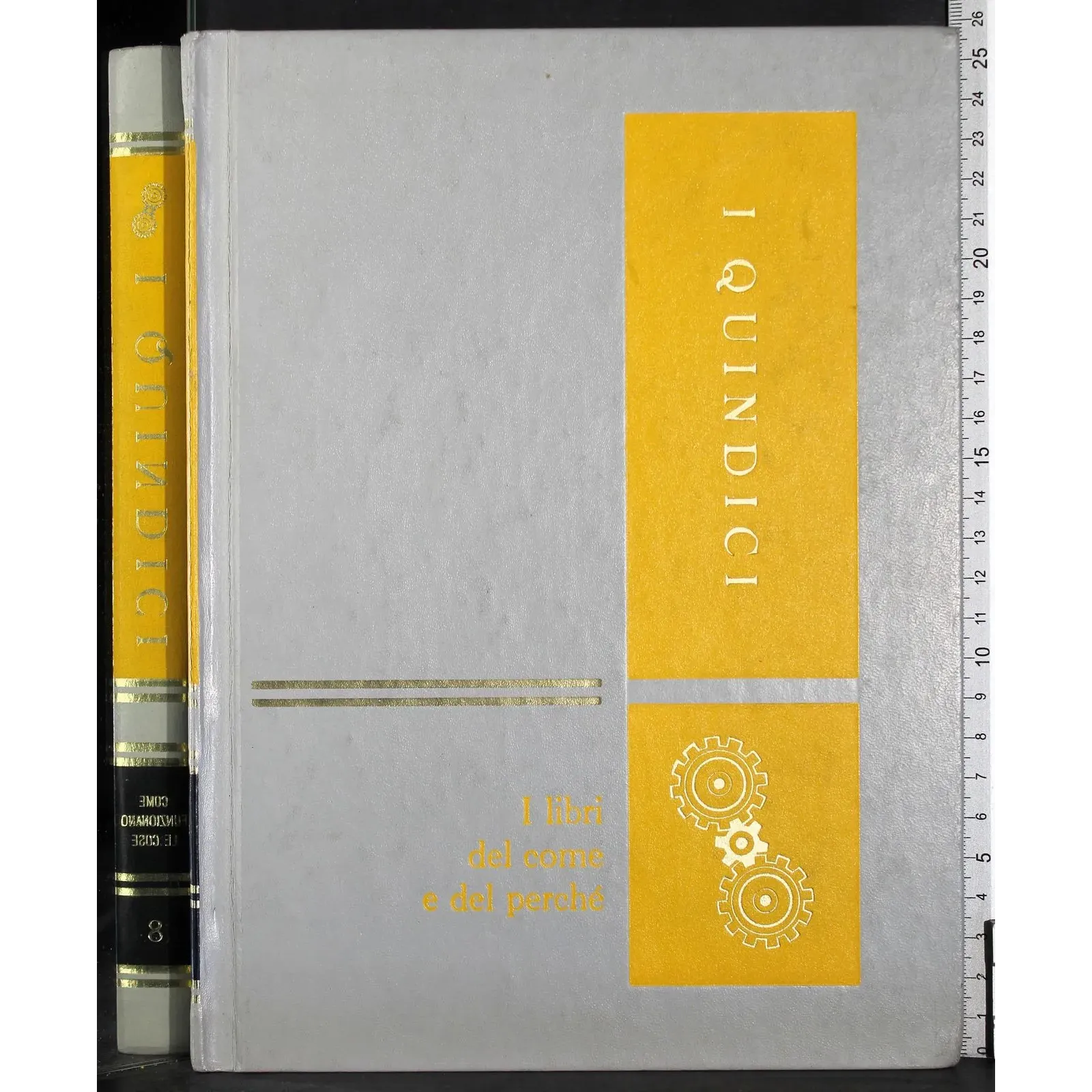 I quindici 8. Come funzionano le cose