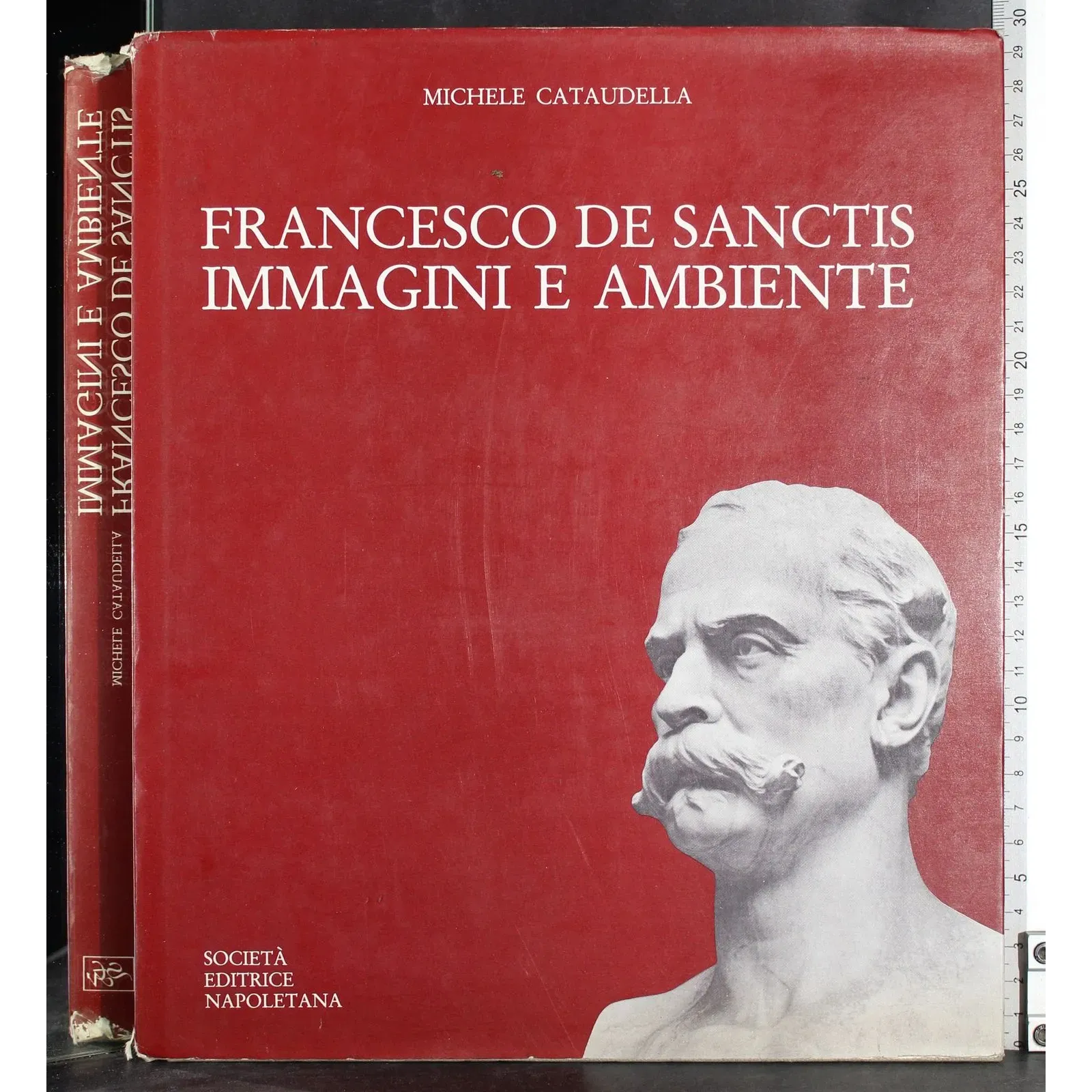 Francesco De Sanctis. Immagini e Ambiente