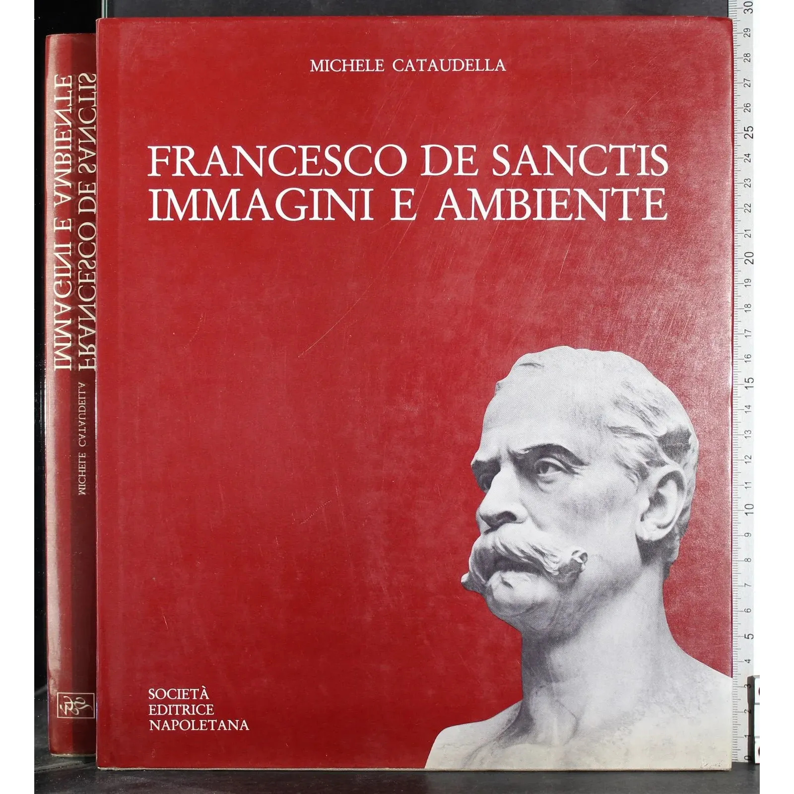 Francesco De Sanctis. Immagini e Ambiente