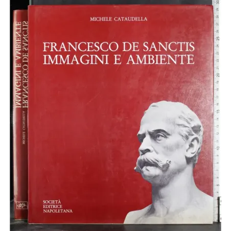 Francesco De Sanctis. Immagini e Ambiente