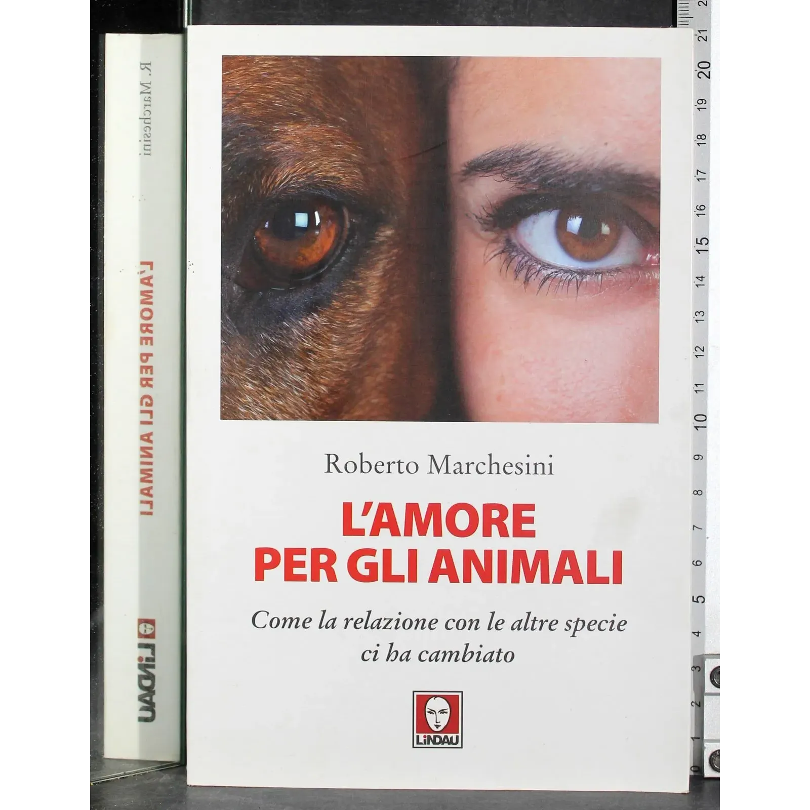 L'amore per gli animali