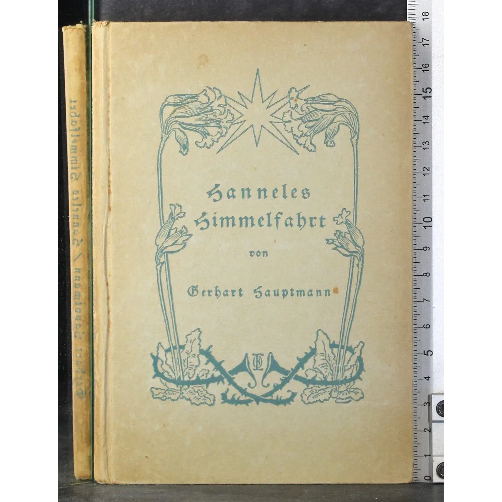 Sanneles Simmelfahrt