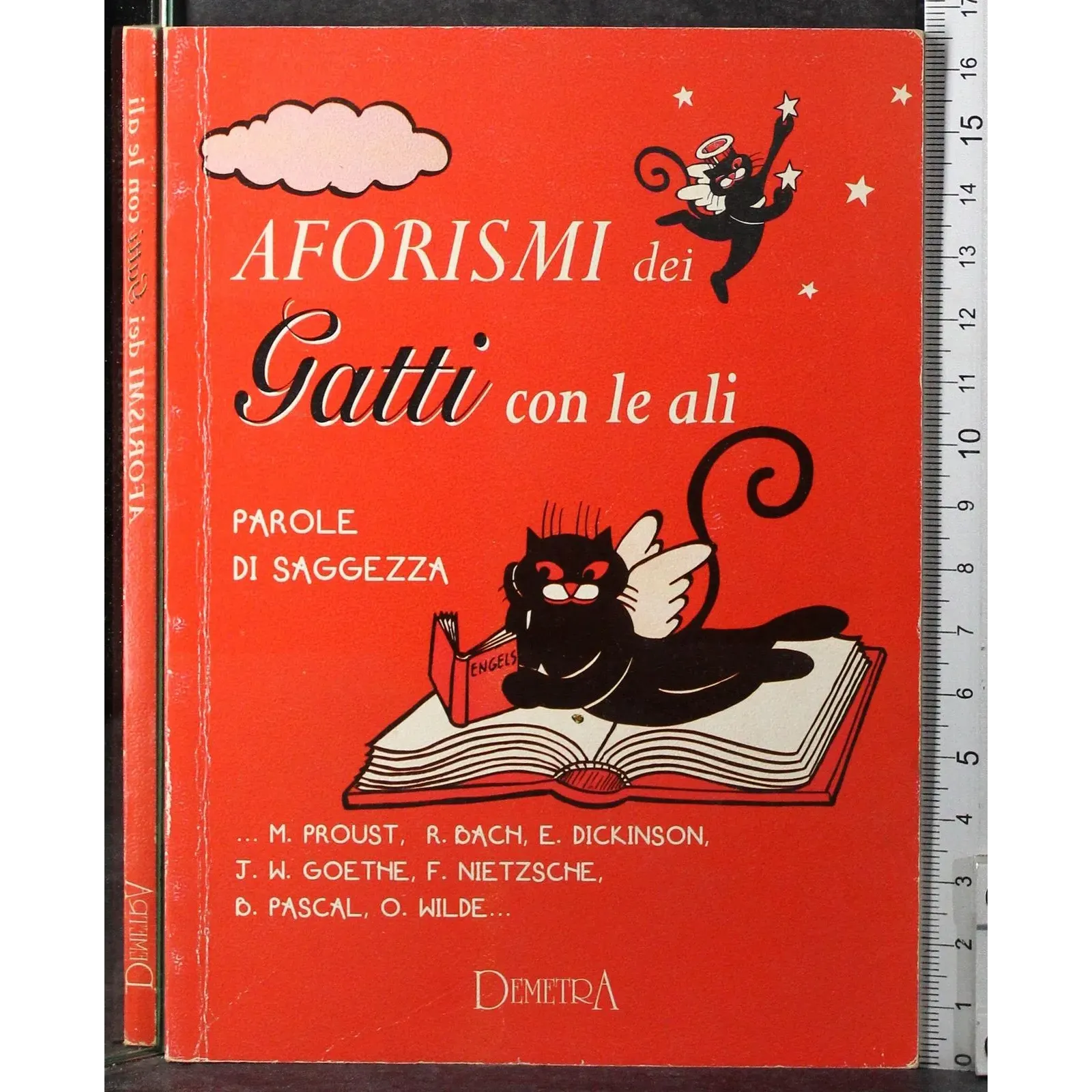 Aforismi dei gatti con le ali