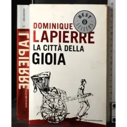 La città della gioia