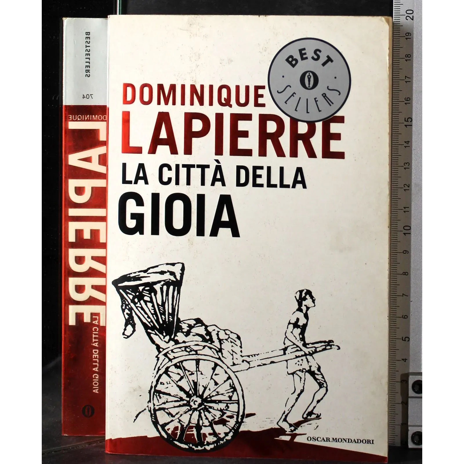 La città della gioia