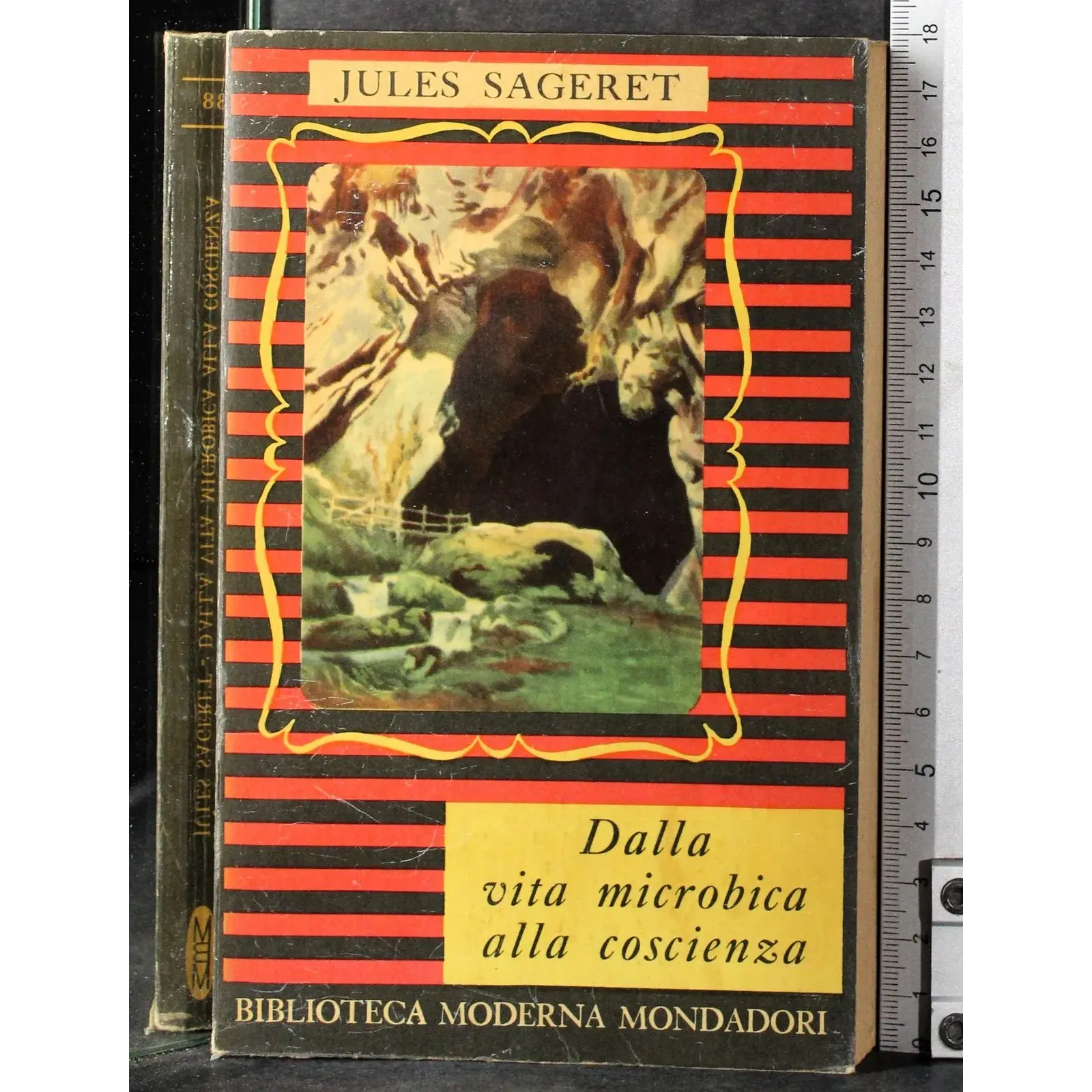 Dalla vita microbica alla coscienza