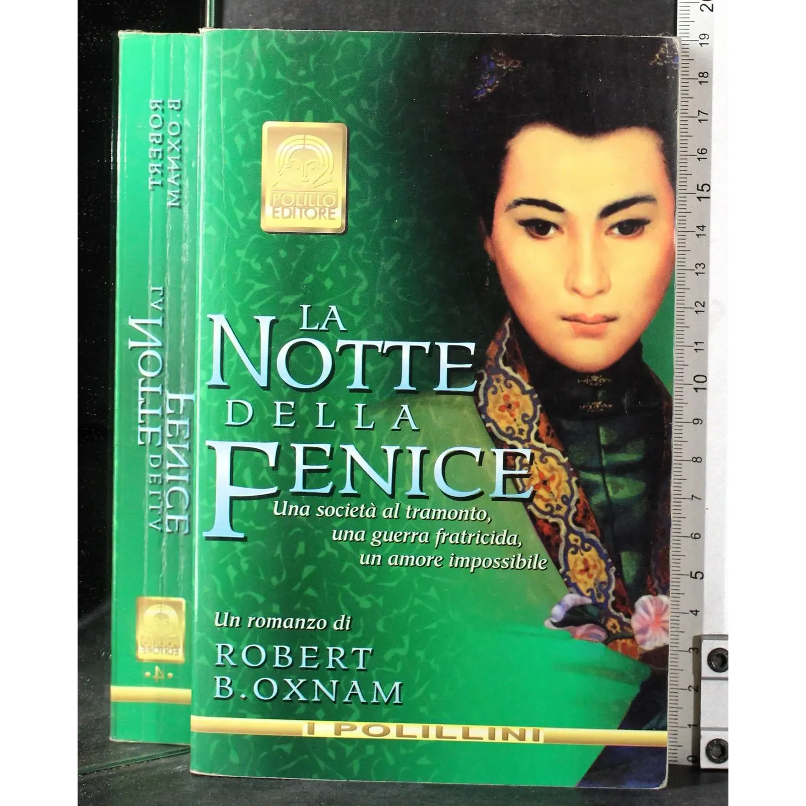 La notte della fenice