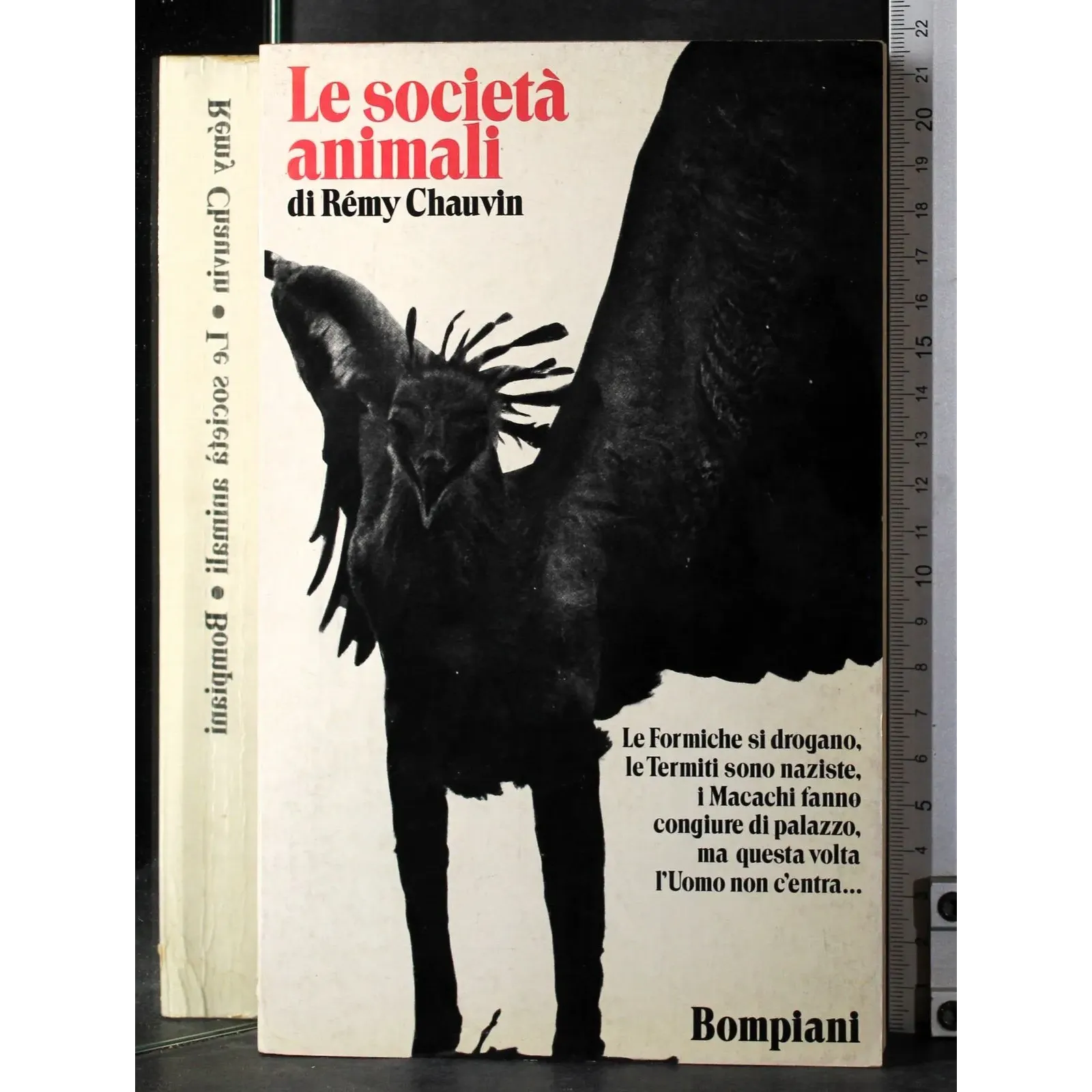 Le società animali