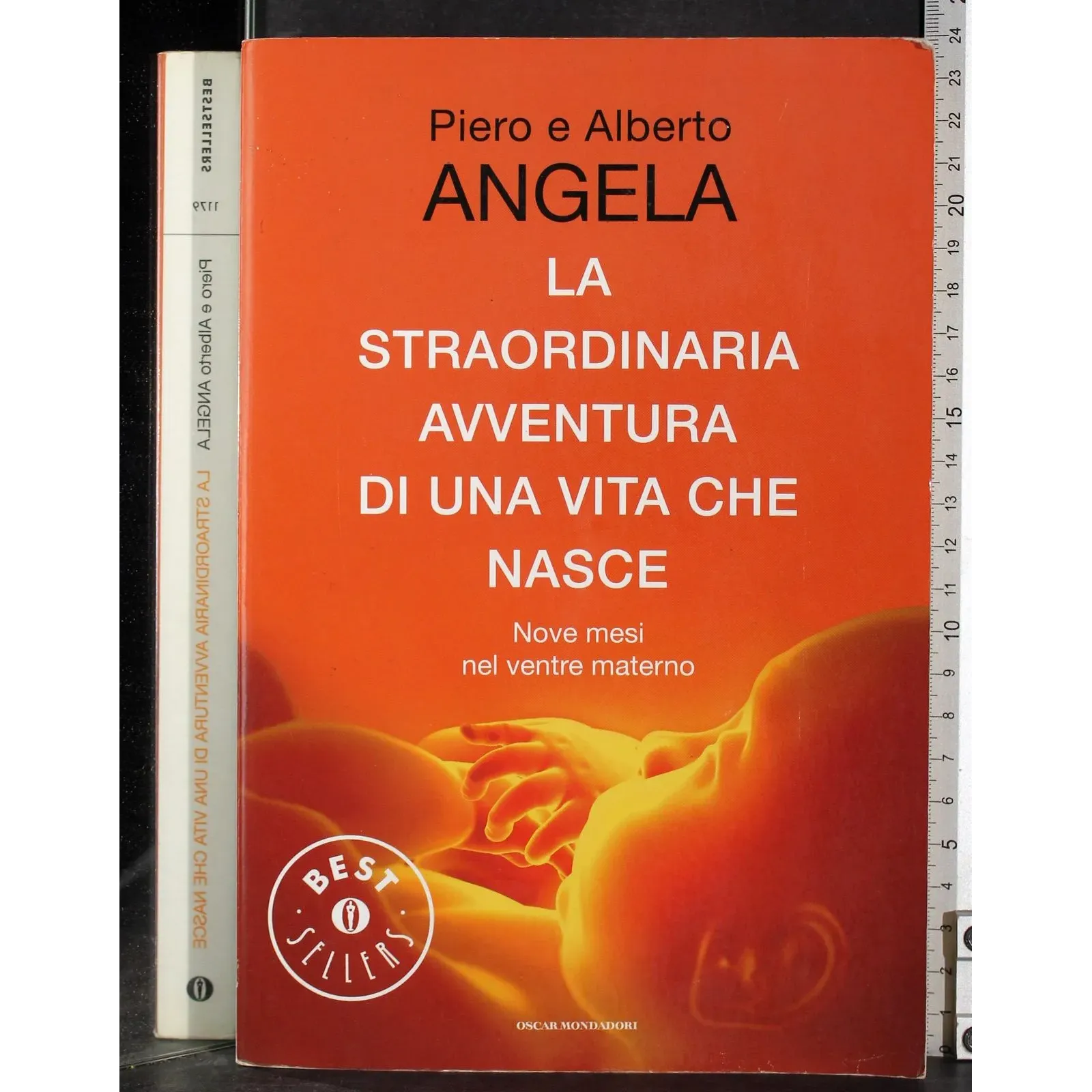 La straordinaria avventura di una vita che nasce