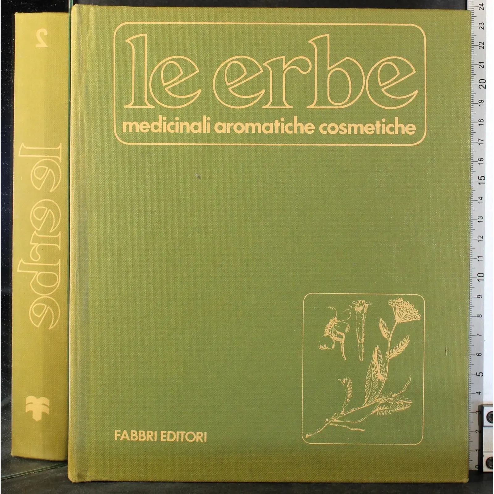 Le erbe medicinali aromatiche cosmetiche. Vol 2