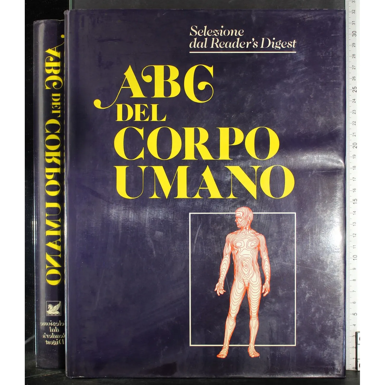 ABC del corpo umano