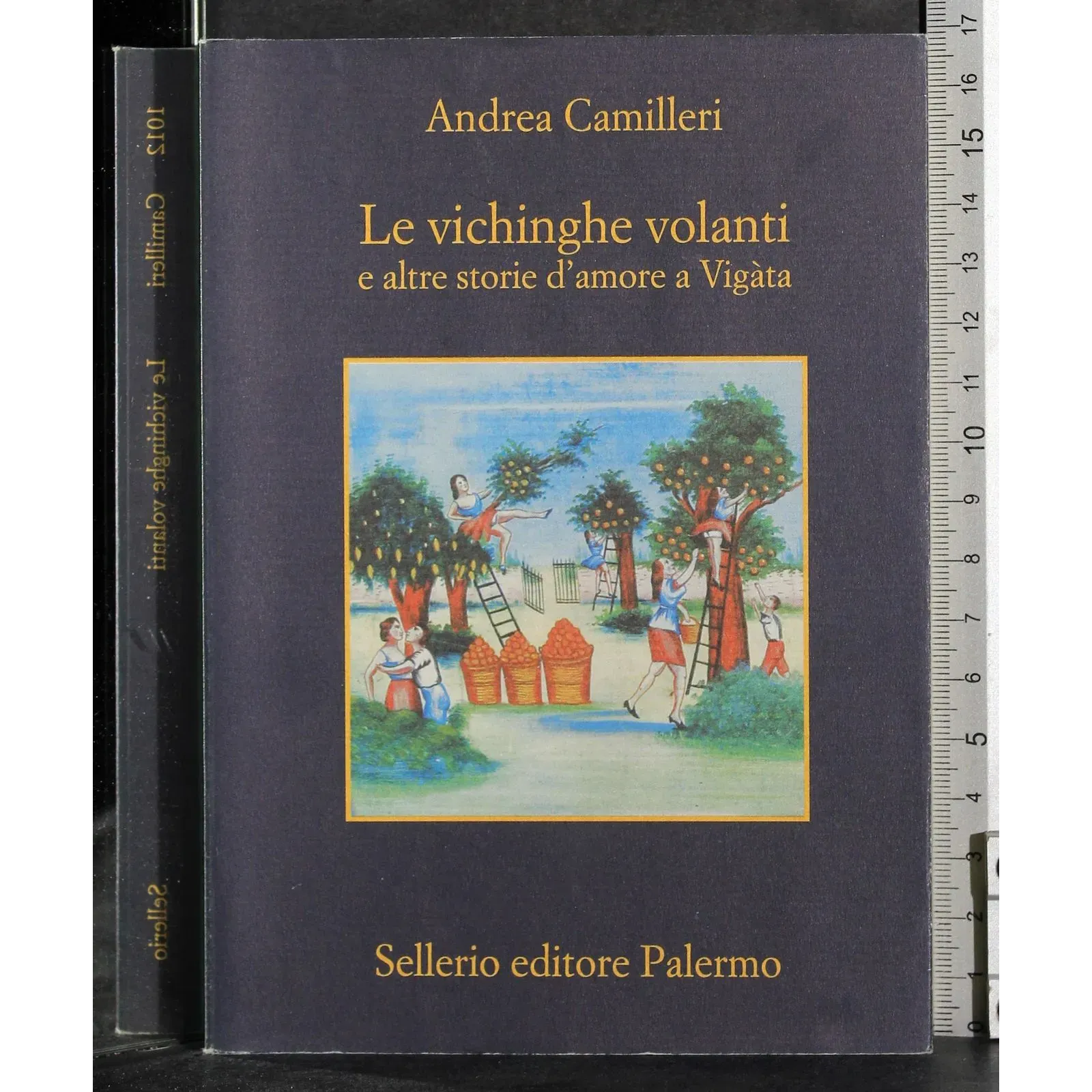 Le vichinghe volanti