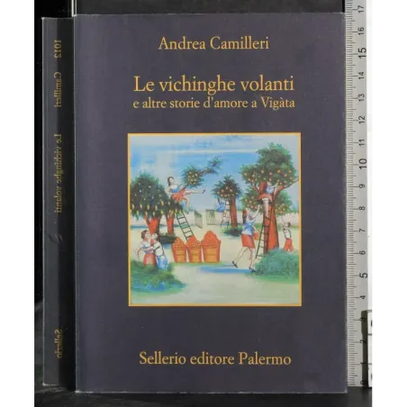 Le vichinghe volanti