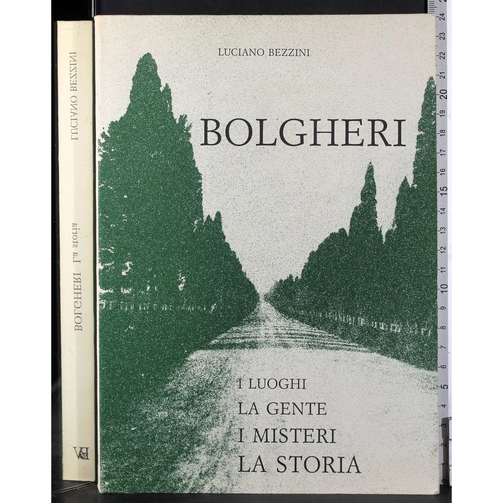 Bolgheri. I luoghi la gente i misteri la storia