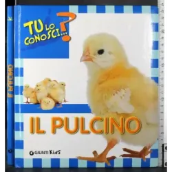 Tu lo conosci? Il pulcino