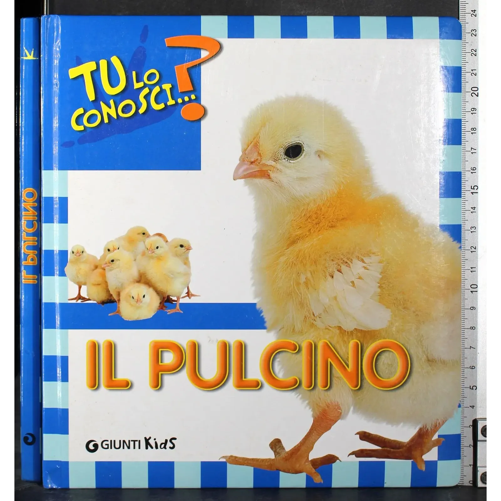 Tu lo conosci? Il pulcino