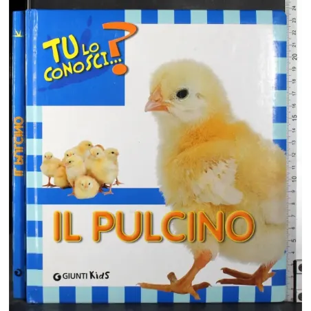 Tu lo conosci? Il pulcino