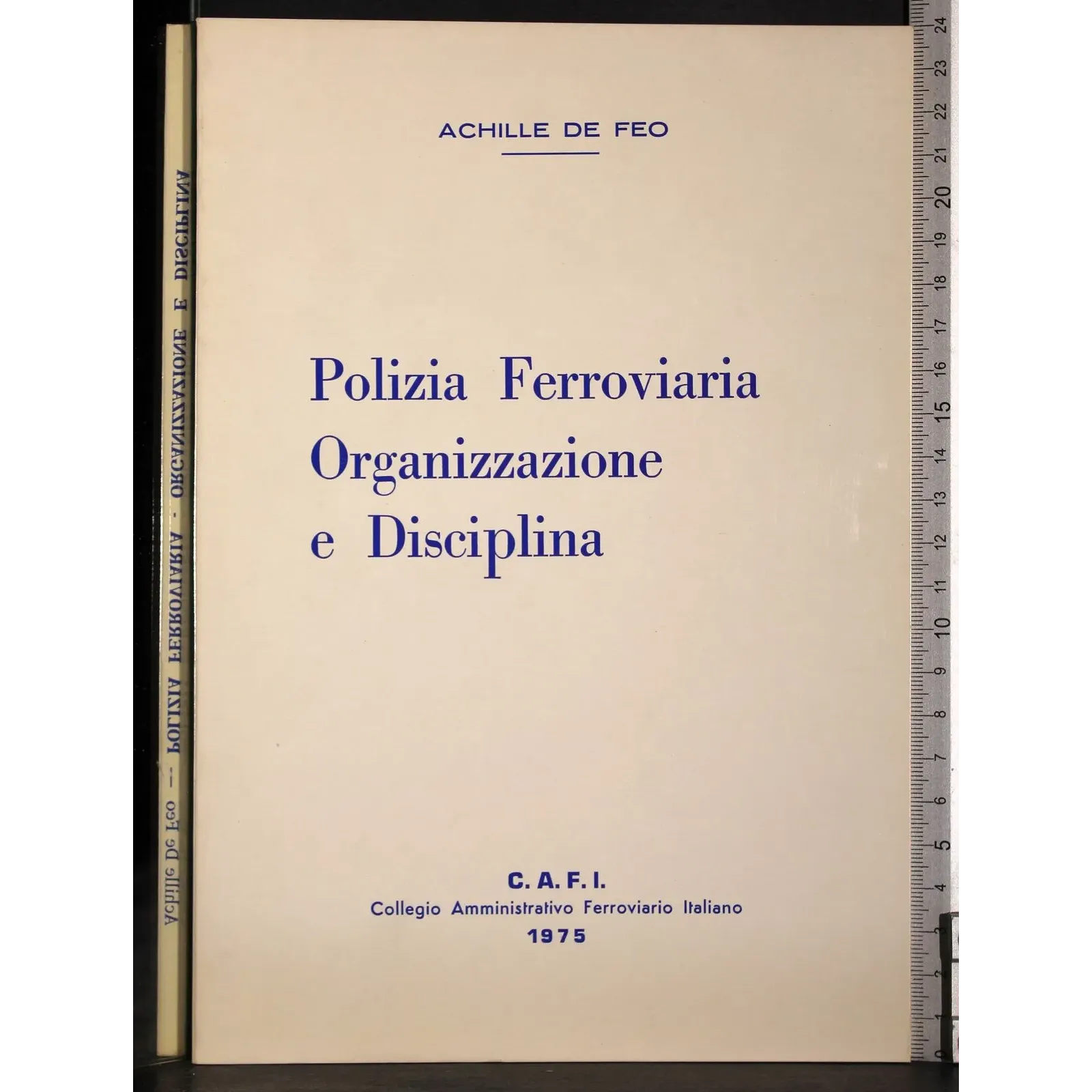 Polizia Ferroviaria Organizzazione e disciplina