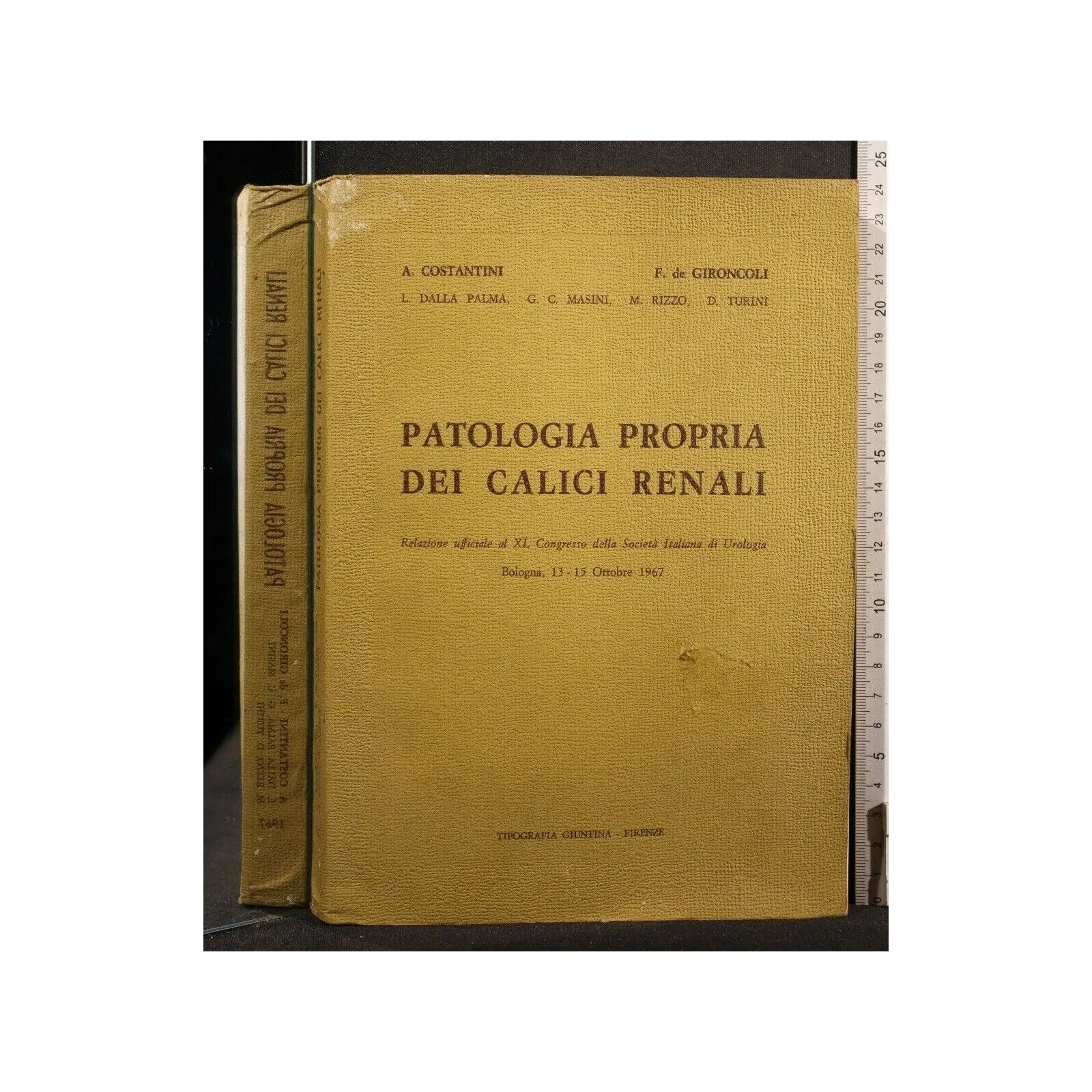 PATOLOGIA PROPRIA DEI CALICI RENALI
