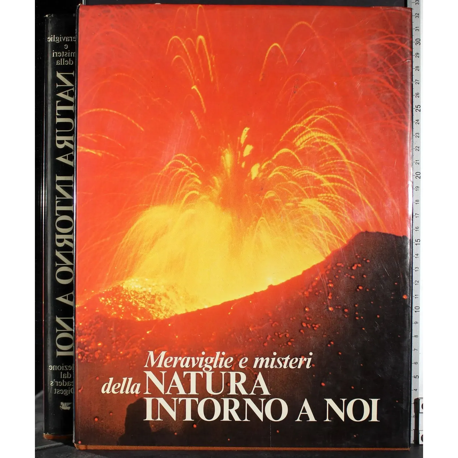 Meraviglie e misteri della natura intorno a noi