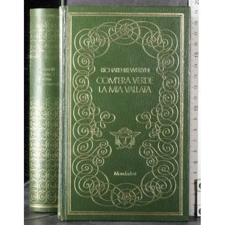 Com'era verde la mia vallata