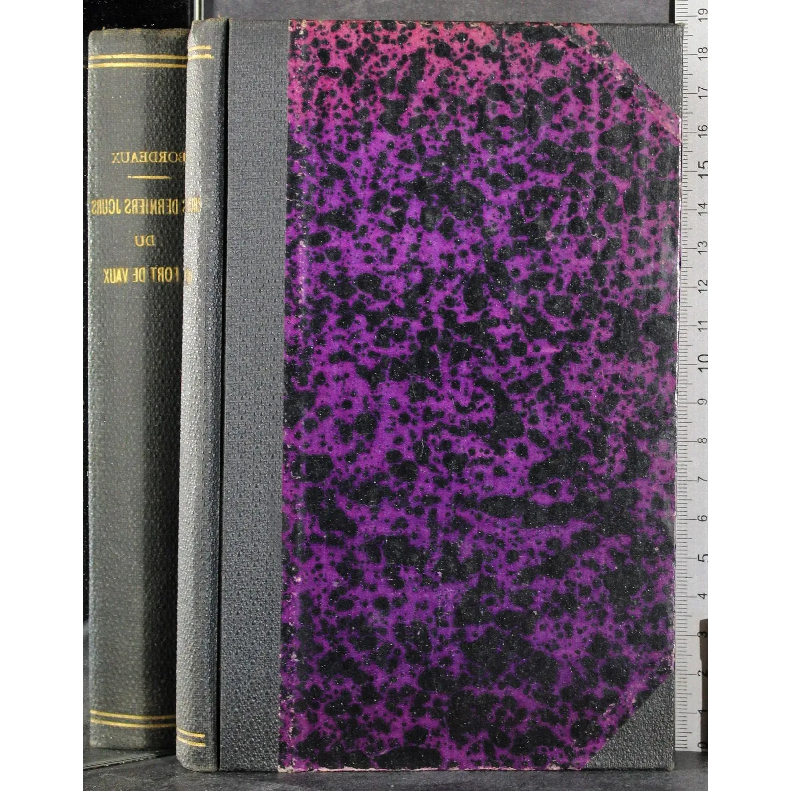 Les derniers jours du fort de vaux