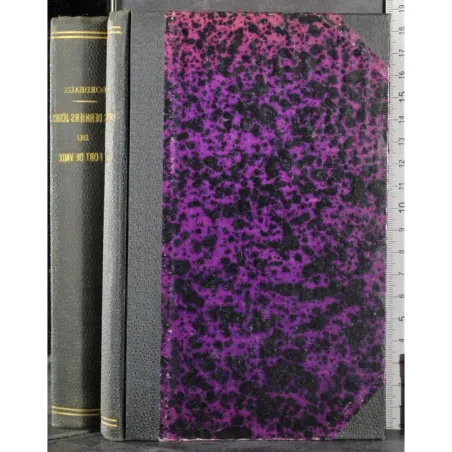 Les derniers jours du fort de vaux