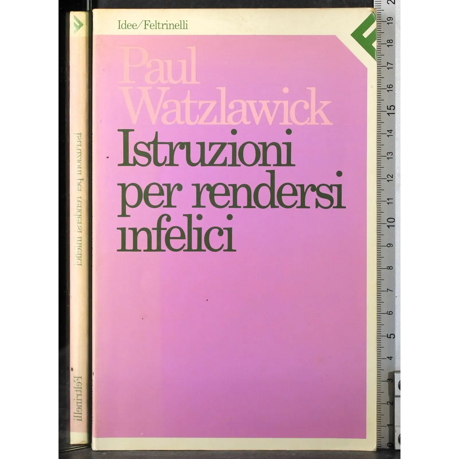 Istruzioni per rendersi infelici
