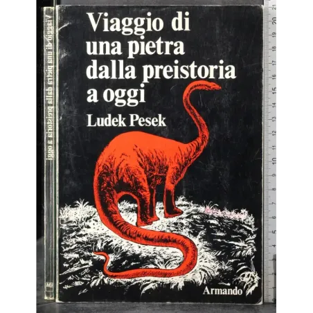 Viaggio di una pietra dalla preistoria a oggi